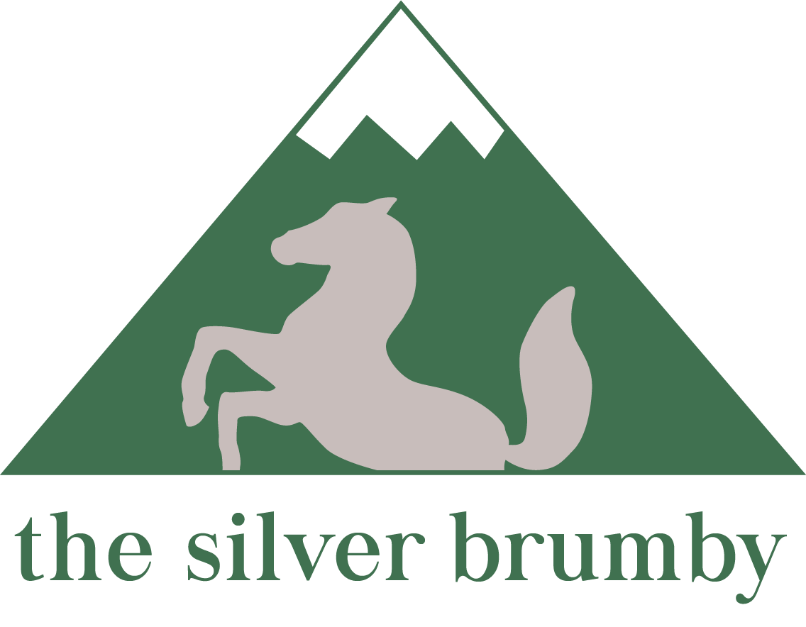 The Silver Brumby